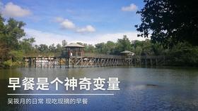 LED领域龙头诺瓦星云即将申购
